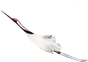 鹤