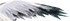 鹤